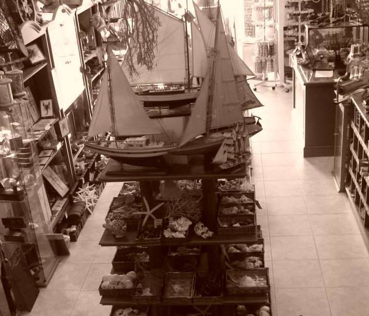 puerto marina benalmadena