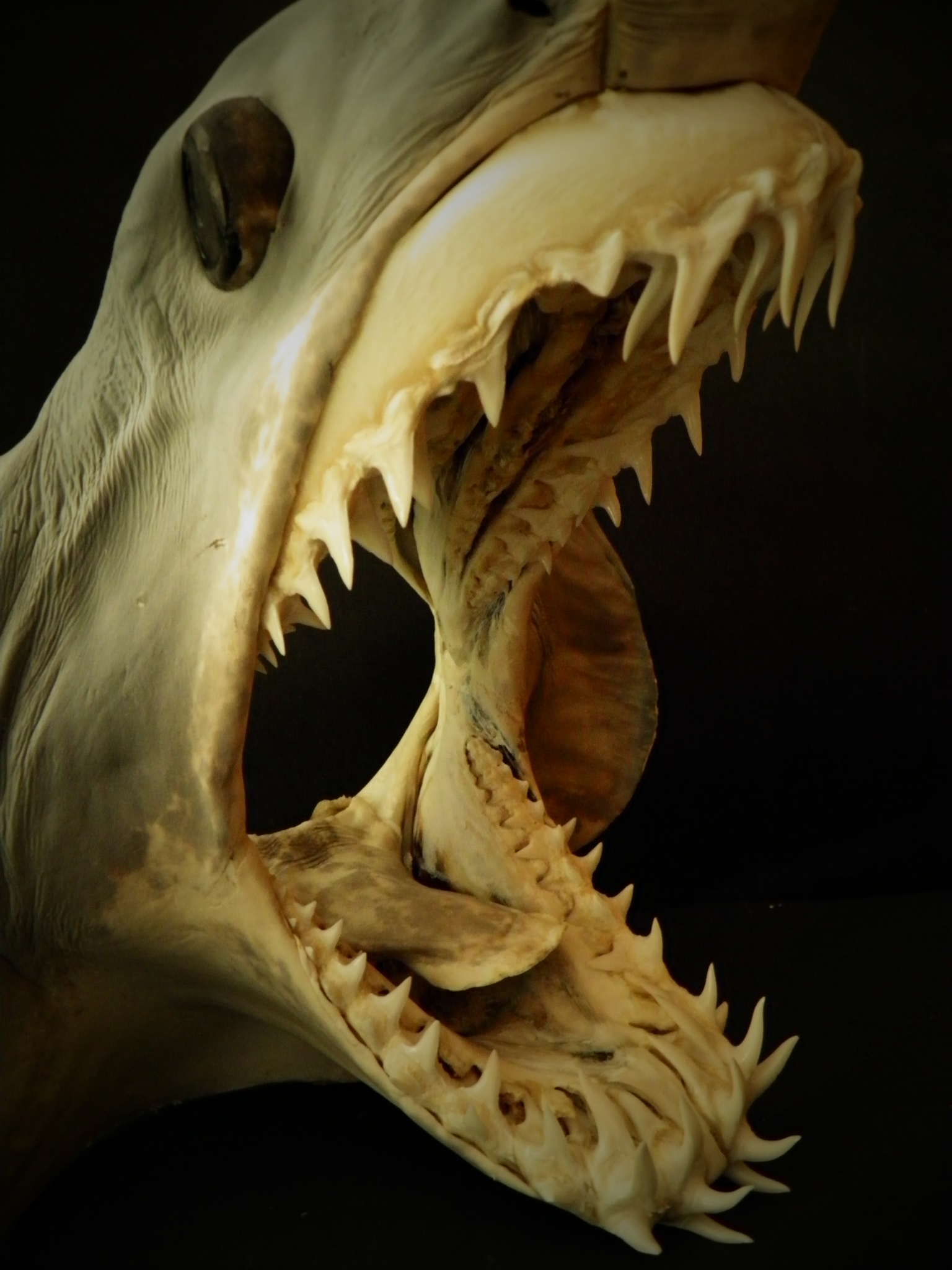 puerto marina benalmadena