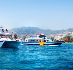 catamaran-magic-puerto marina benalmadena
