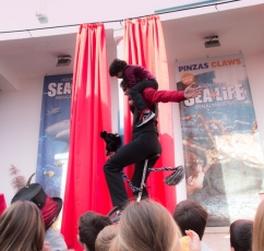 mare circus puerto marina benalmadena-24.jpg
